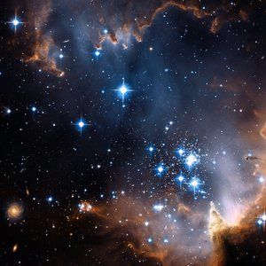 Meet your Posher, Pauline